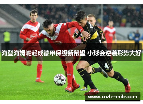 海登海姆崛起成德甲保级新希望 小球会逆袭形势大好 海登海姆崛起成德甲保级新希望 小球会逆袭形势大好